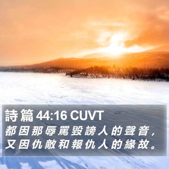 詩 篇 44:16 CUVT Bible Study