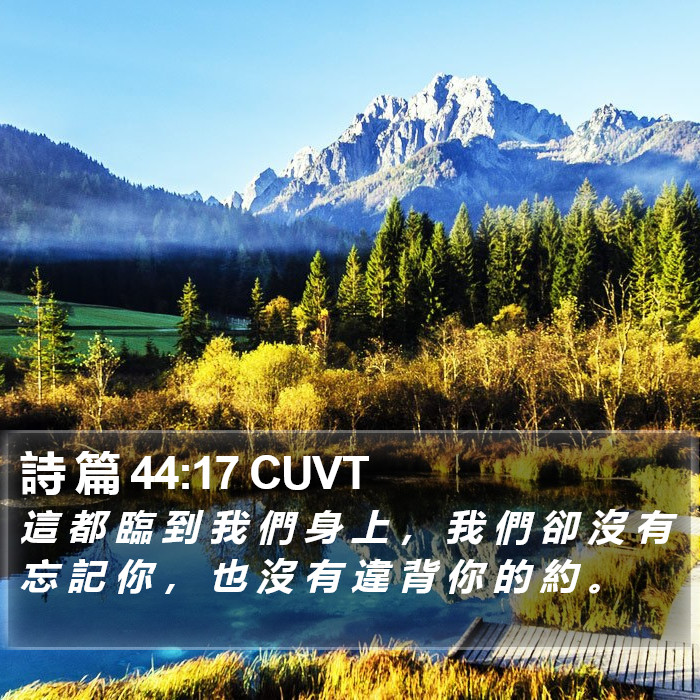 詩 篇 44:17 CUVT Bible Study