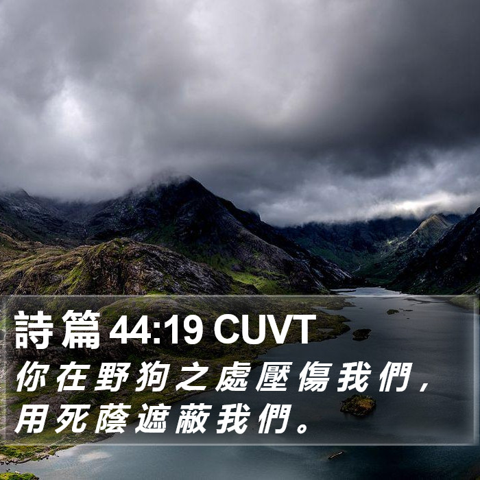 詩 篇 44:19 CUVT Bible Study