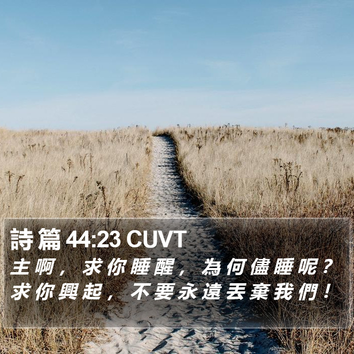 詩 篇 44:23 CUVT Bible Study