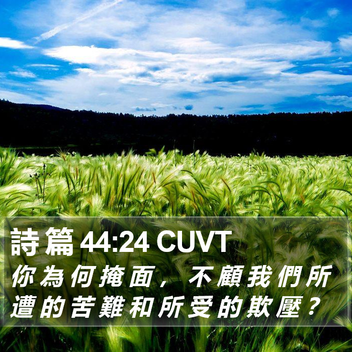 詩 篇 44:24 CUVT Bible Study