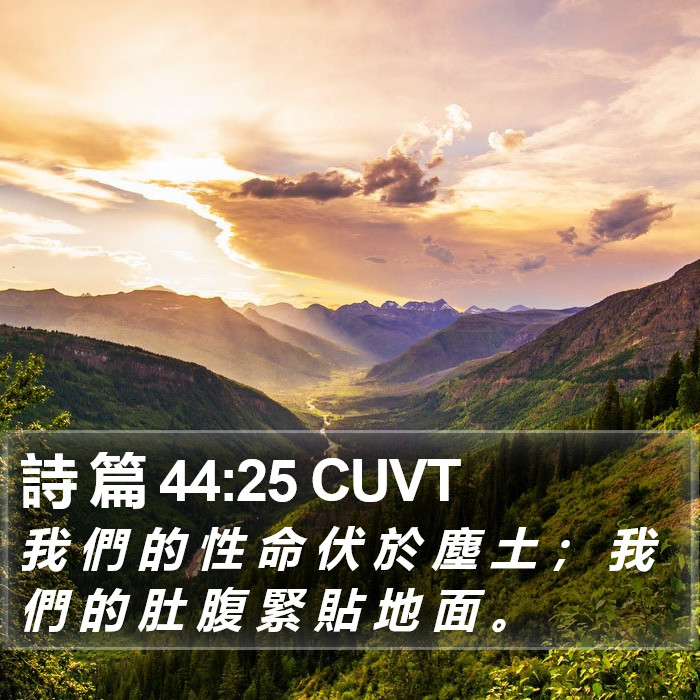 詩 篇 44:25 CUVT Bible Study