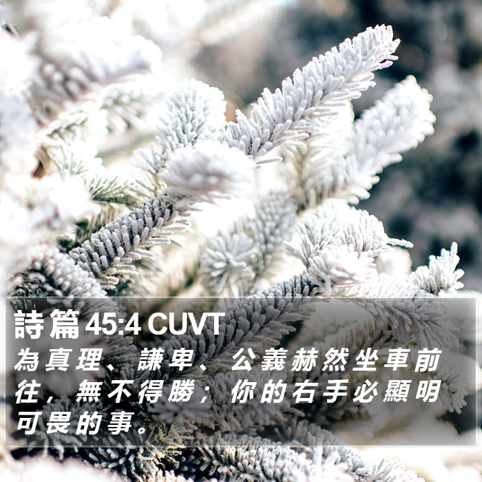 詩 篇 45:4 CUVT Bible Study