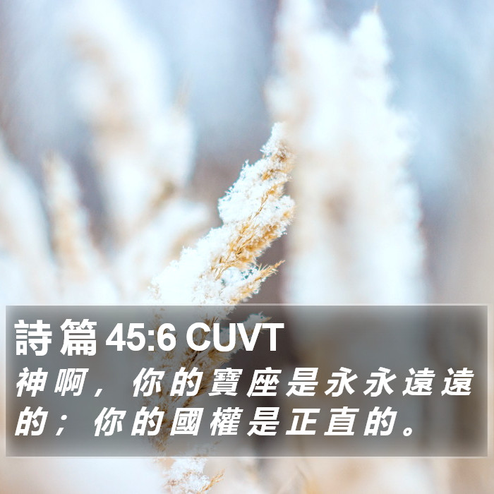 詩 篇 45:6 CUVT Bible Study