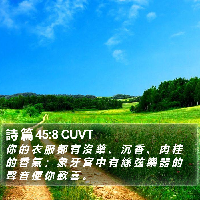 詩 篇 45:8 CUVT Bible Study