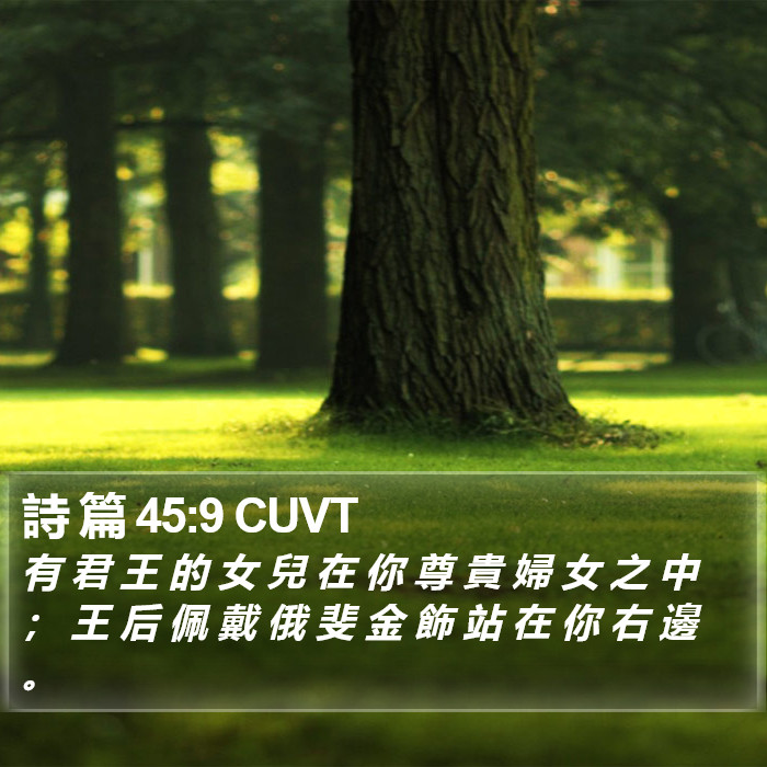 詩 篇 45:9 CUVT Bible Study