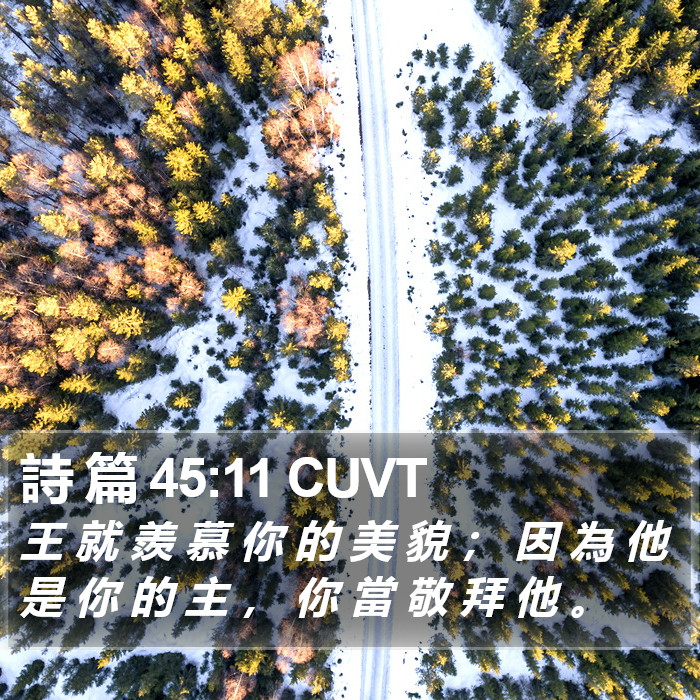 詩 篇 45:11 CUVT Bible Study