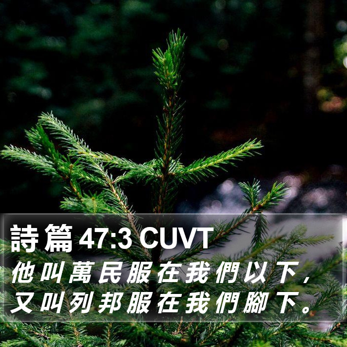 詩 篇 47:3 CUVT Bible Study