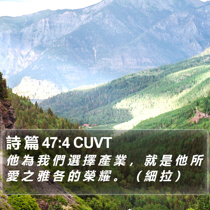 詩 篇 47:4 CUVT Bible Study