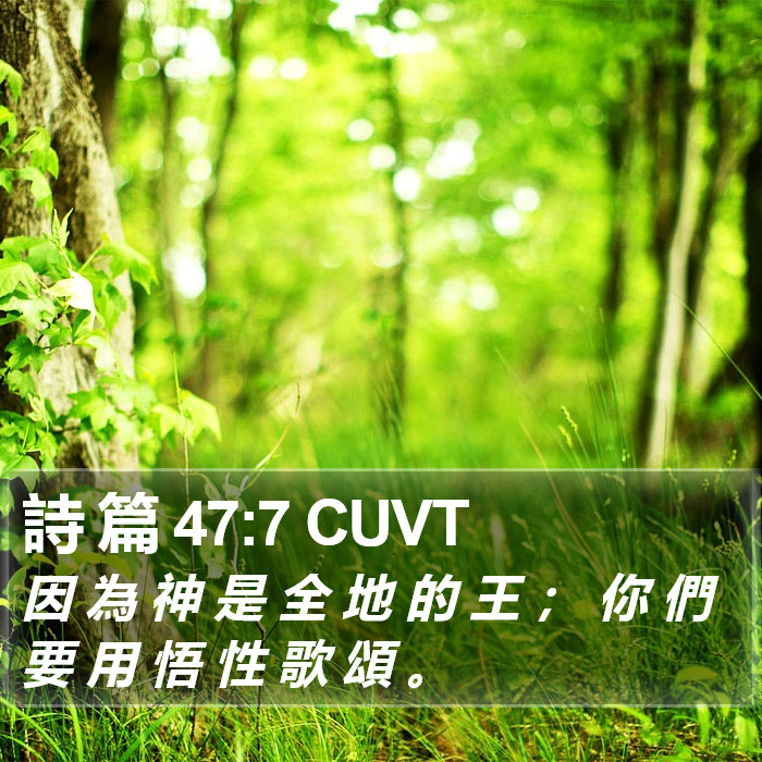 詩 篇 47:7 CUVT Bible Study