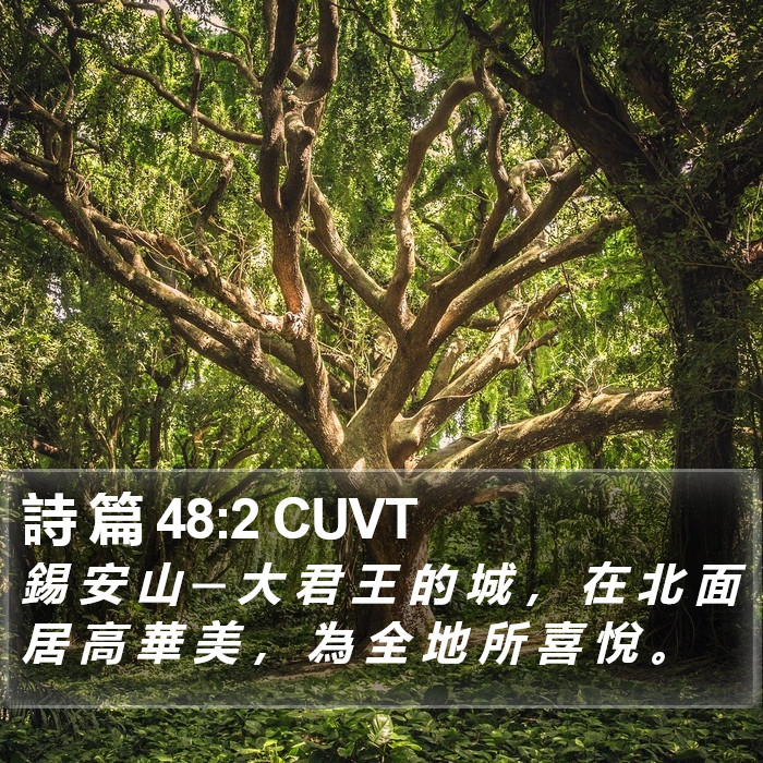詩 篇 48:2 CUVT Bible Study