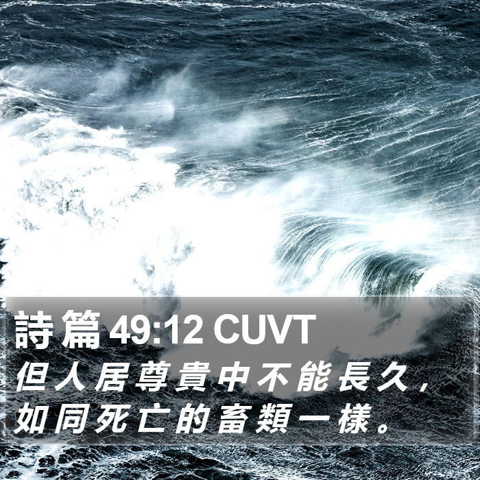 詩 篇 49:12 CUVT Bible Study