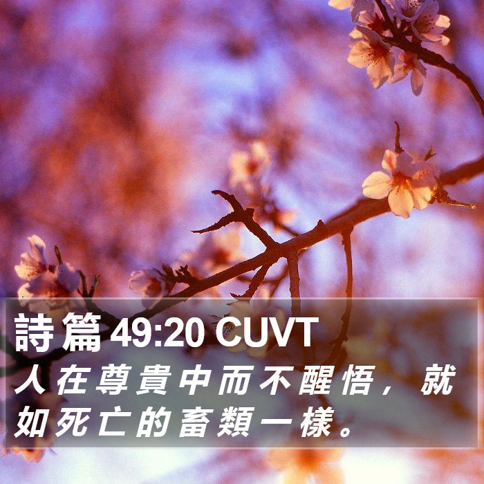 詩 篇 49:20 CUVT Bible Study