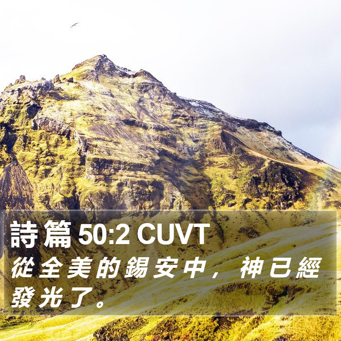 詩 篇 50:2 CUVT Bible Study