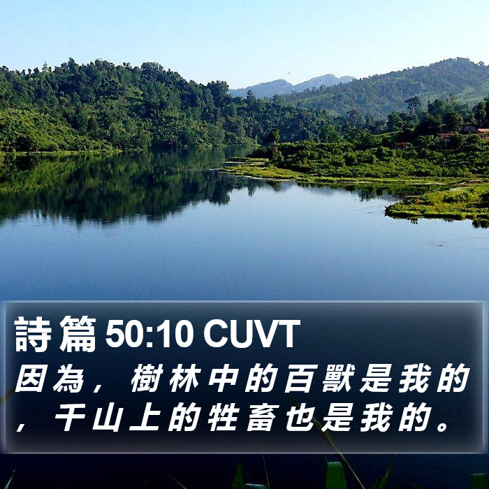 詩 篇 50:10 CUVT Bible Study