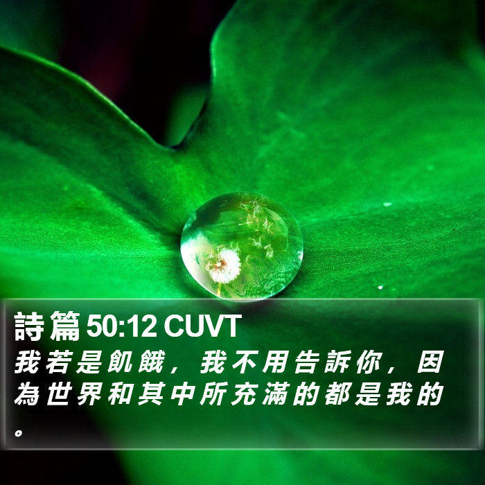 詩 篇 50:12 CUVT Bible Study