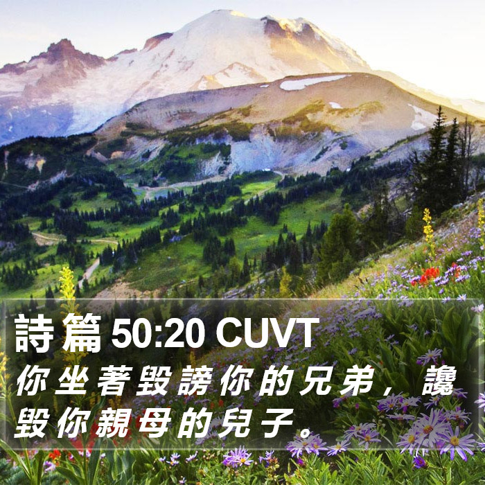 詩 篇 50:20 CUVT Bible Study