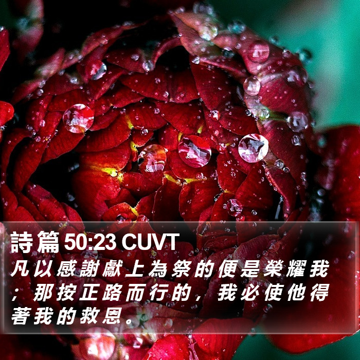 詩 篇 50:23 CUVT Bible Study