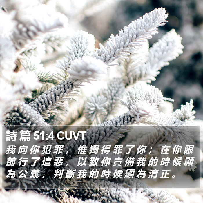 詩 篇 51:4 CUVT Bible Study