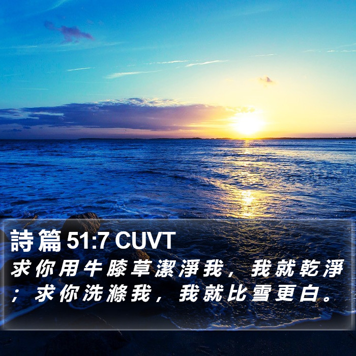 詩 篇 51:7 CUVT Bible Study