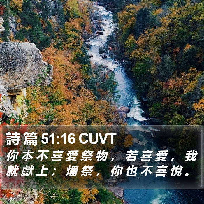 詩 篇 51:16 CUVT Bible Study