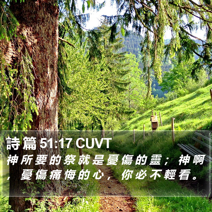 詩 篇 51:17 CUVT Bible Study