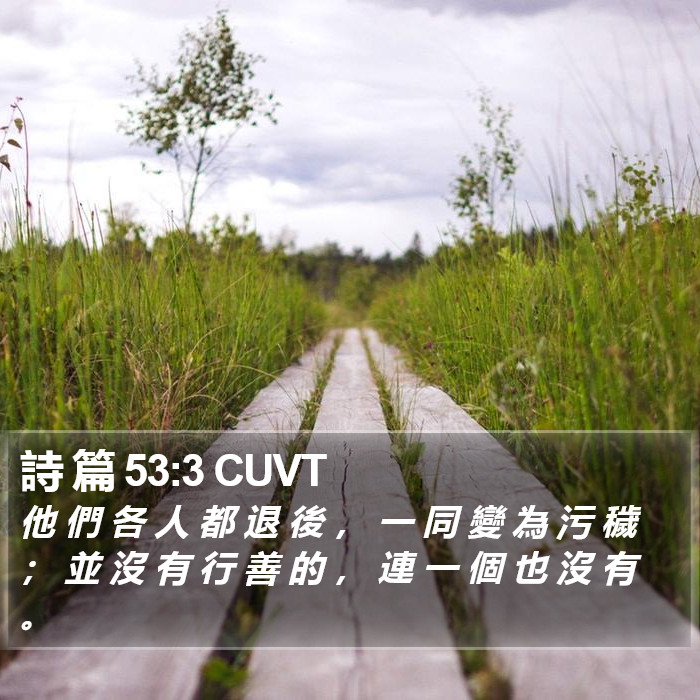 詩 篇 53:3 CUVT Bible Study