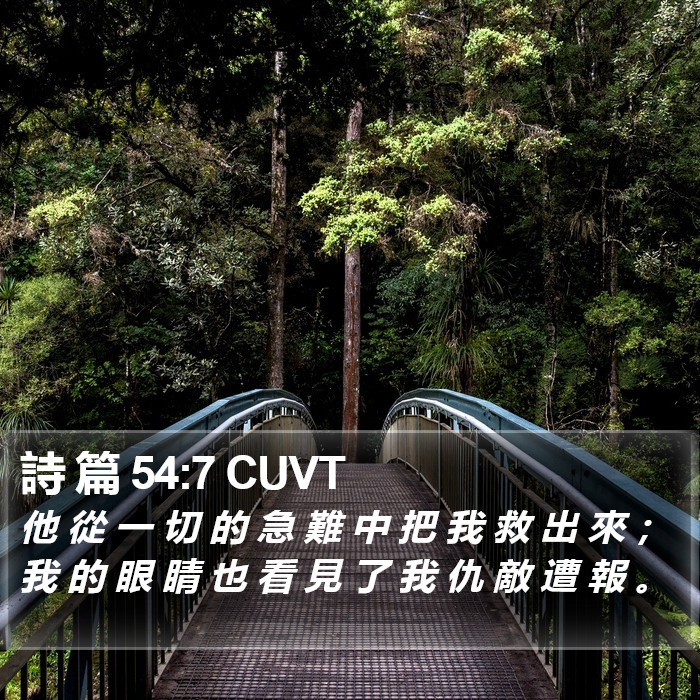 詩 篇 54:7 CUVT Bible Study