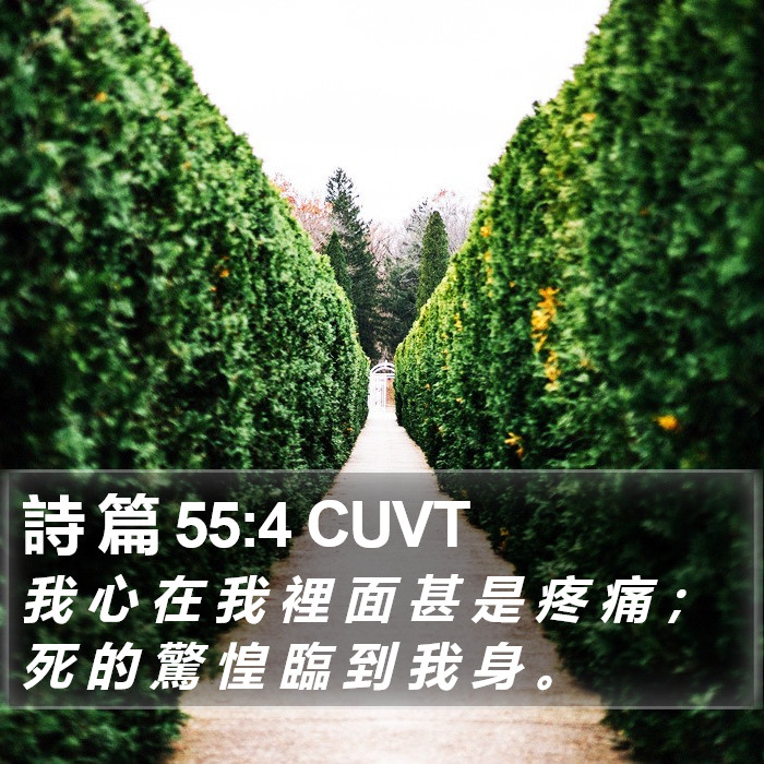 詩 篇 55:4 CUVT Bible Study