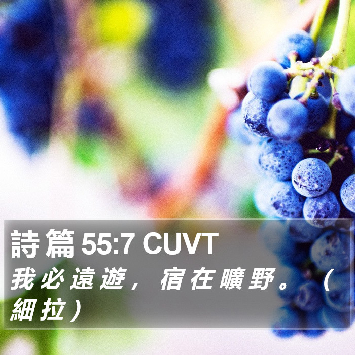 詩 篇 55:7 CUVT Bible Study