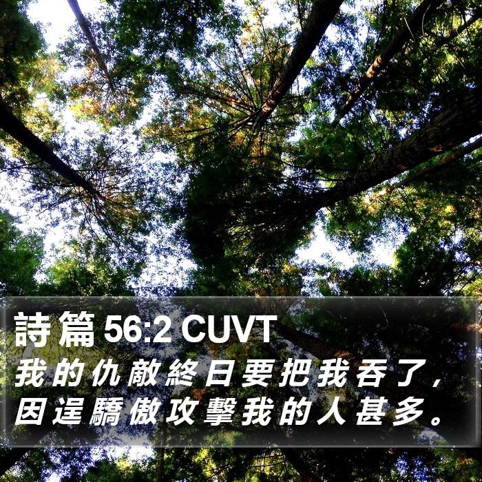 詩 篇 56:2 CUVT Bible Study