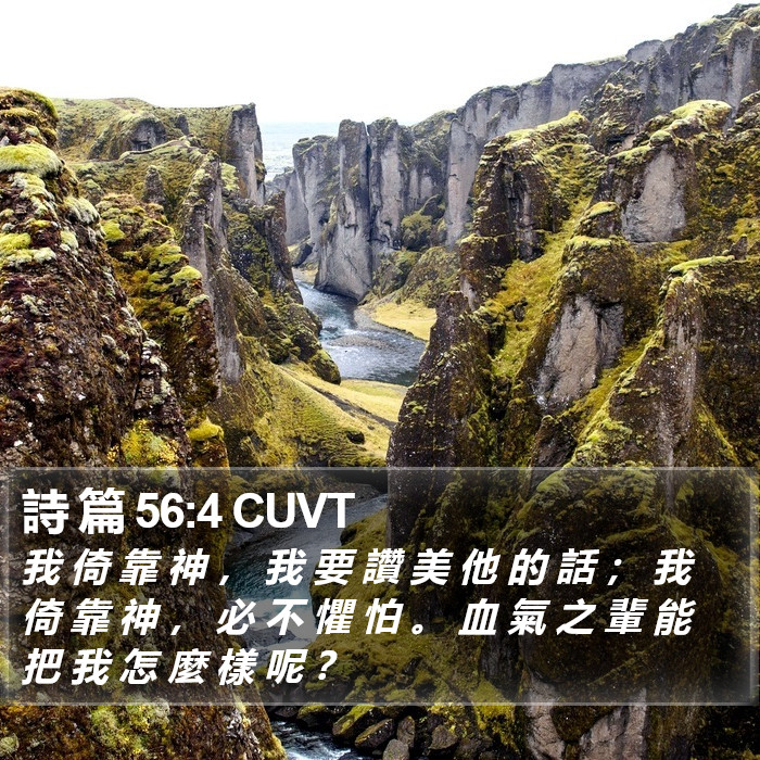 詩 篇 56:4 CUVT Bible Study