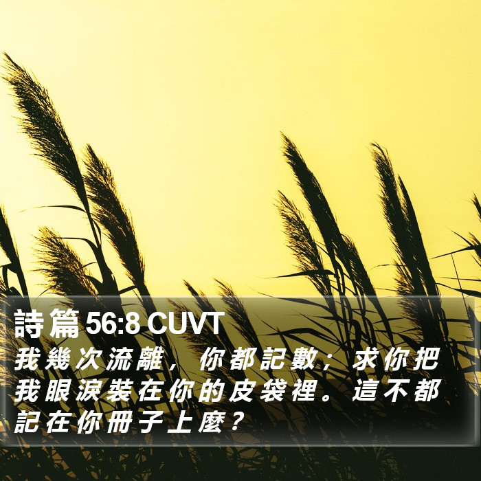 詩 篇 56:8 CUVT Bible Study