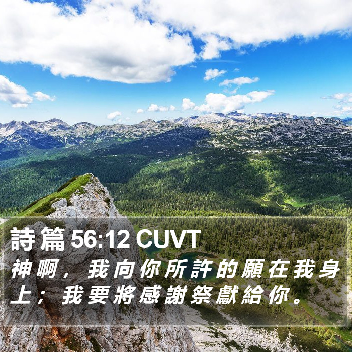 詩 篇 56:12 CUVT Bible Study