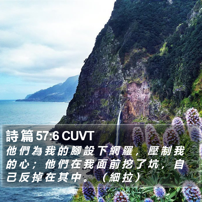 詩 篇 57:6 CUVT Bible Study