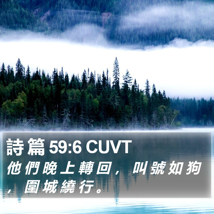 詩 篇 59:6 CUVT Bible Study