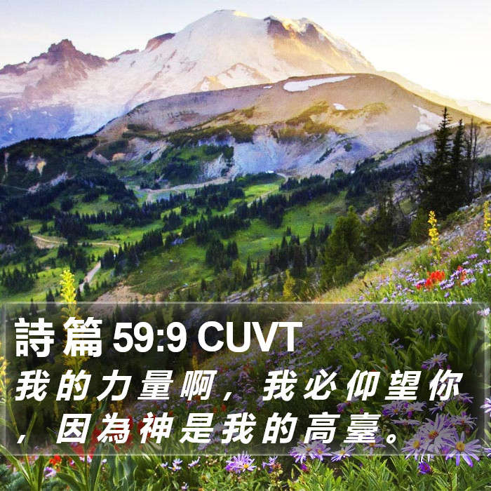 詩 篇 59:9 CUVT Bible Study