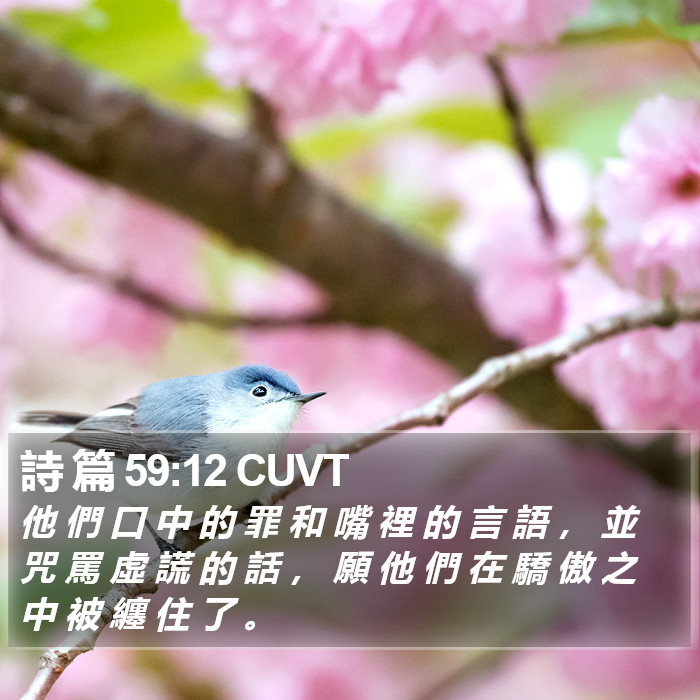 詩 篇 59:12 CUVT Bible Study