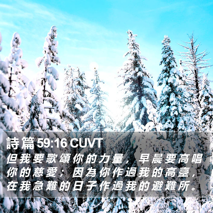 詩 篇 59:16 CUVT Bible Study