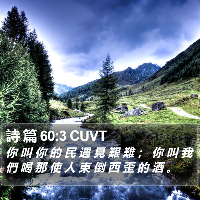 詩 篇 60:3 CUVT Bible Study