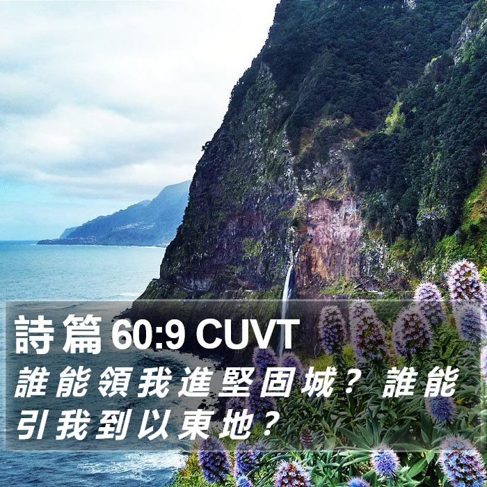 詩 篇 60:9 CUVT Bible Study