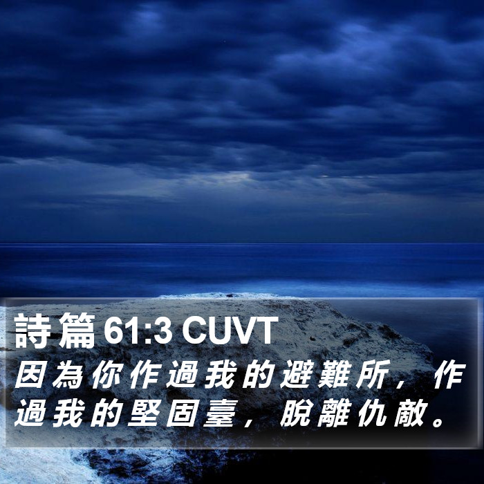 詩 篇 61:3 CUVT Bible Study