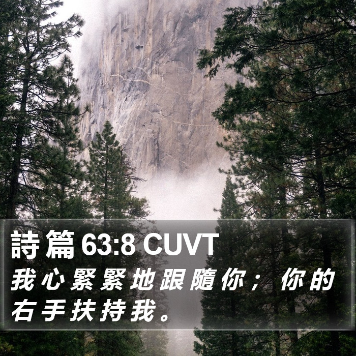 詩 篇 63:8 CUVT Bible Study