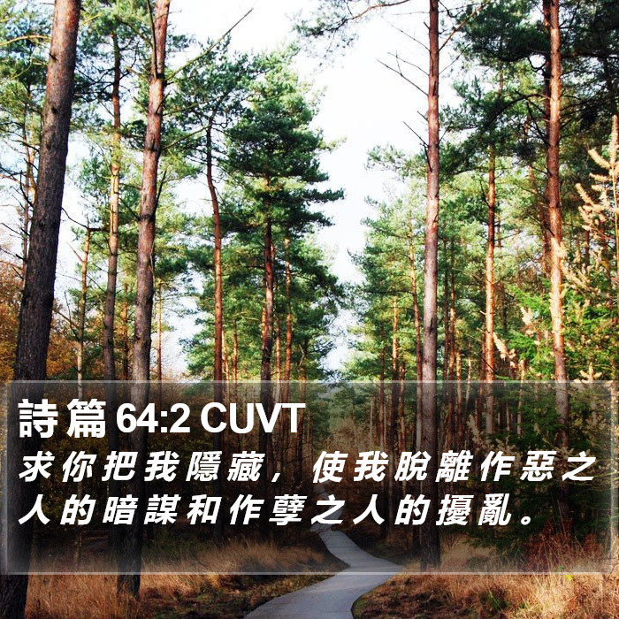 詩 篇 64:2 CUVT Bible Study