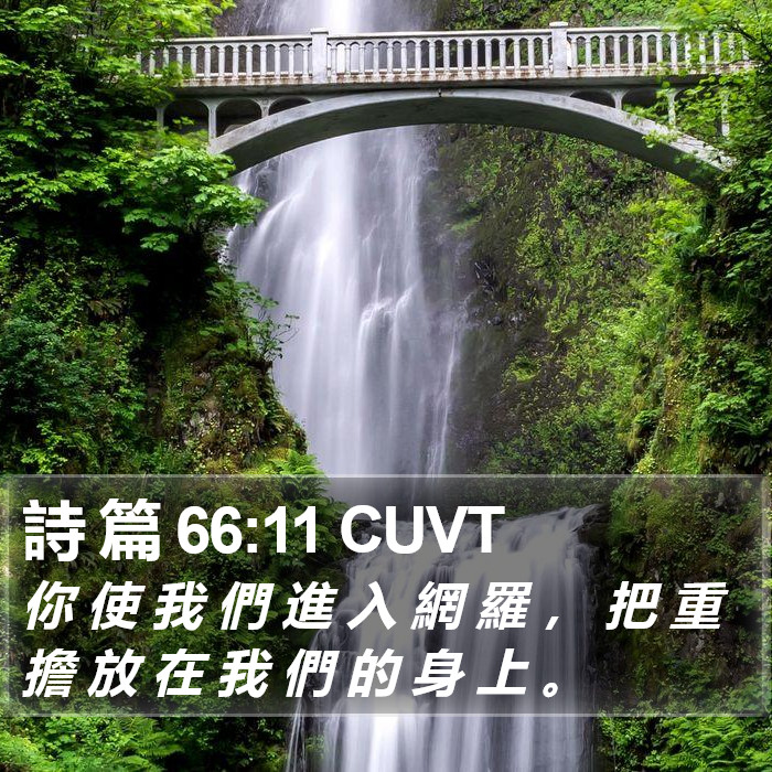 詩 篇 66:11 CUVT Bible Study