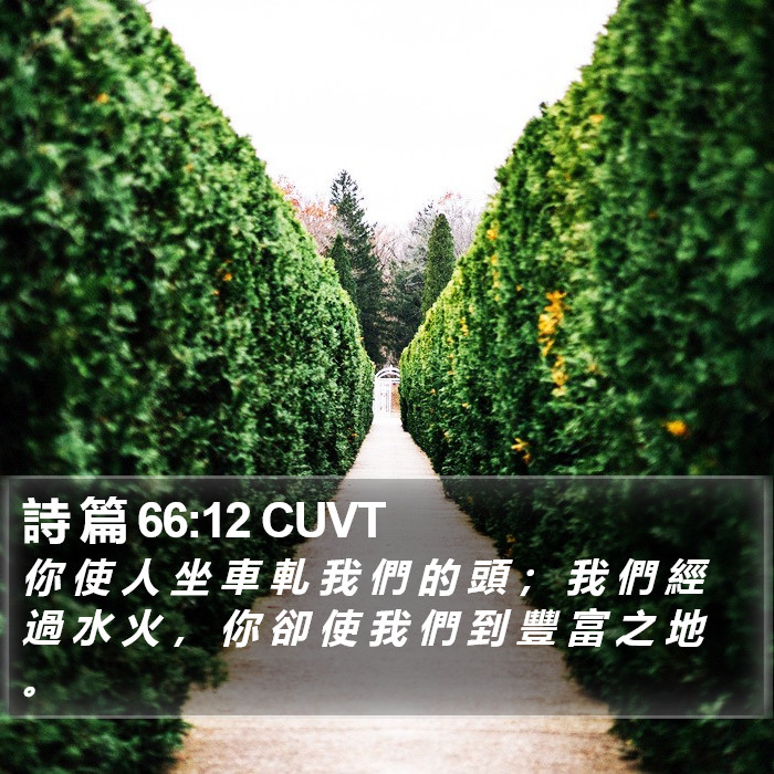 詩 篇 66:12 CUVT Bible Study