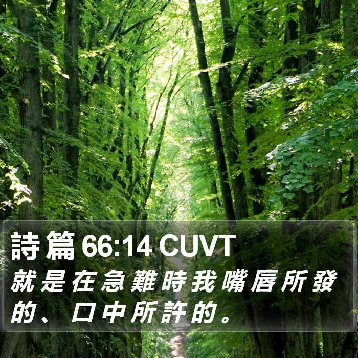 詩 篇 66:14 CUVT Bible Study