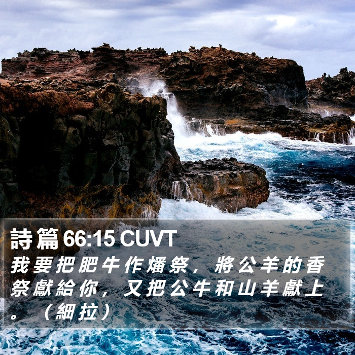 詩 篇 66:15 CUVT Bible Study