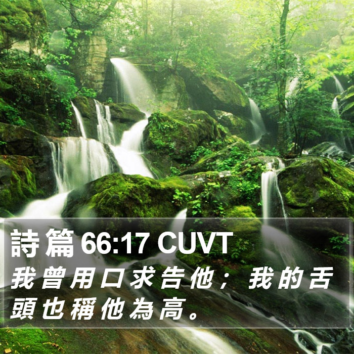 詩 篇 66:17 CUVT Bible Study