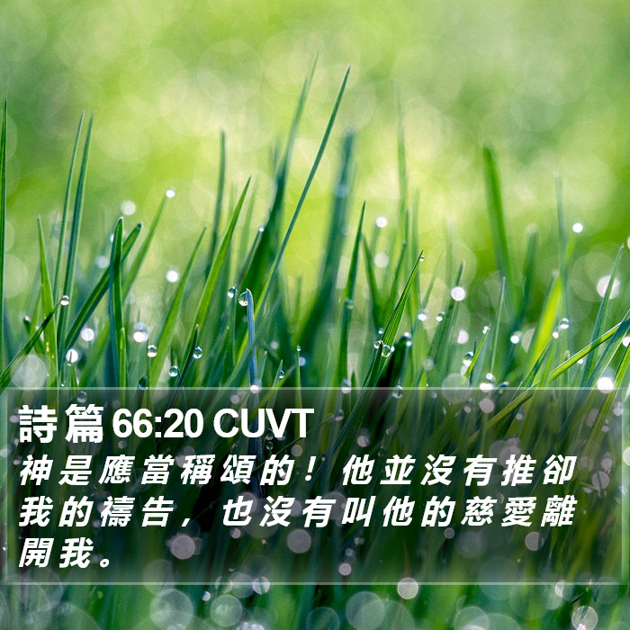 詩 篇 66:20 CUVT Bible Study